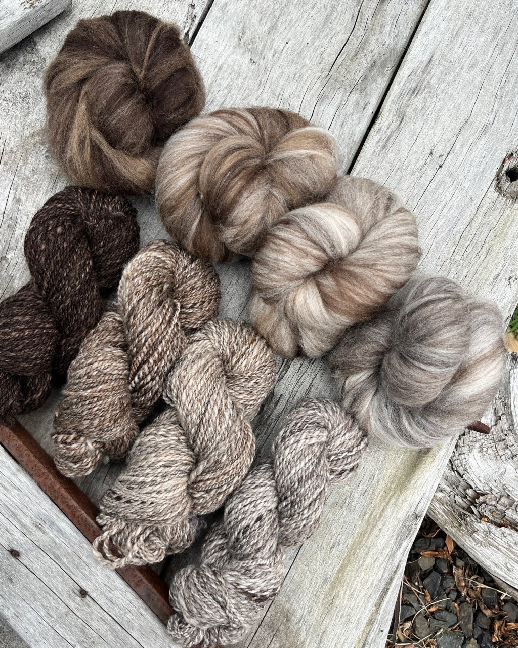 The Coffee Collection