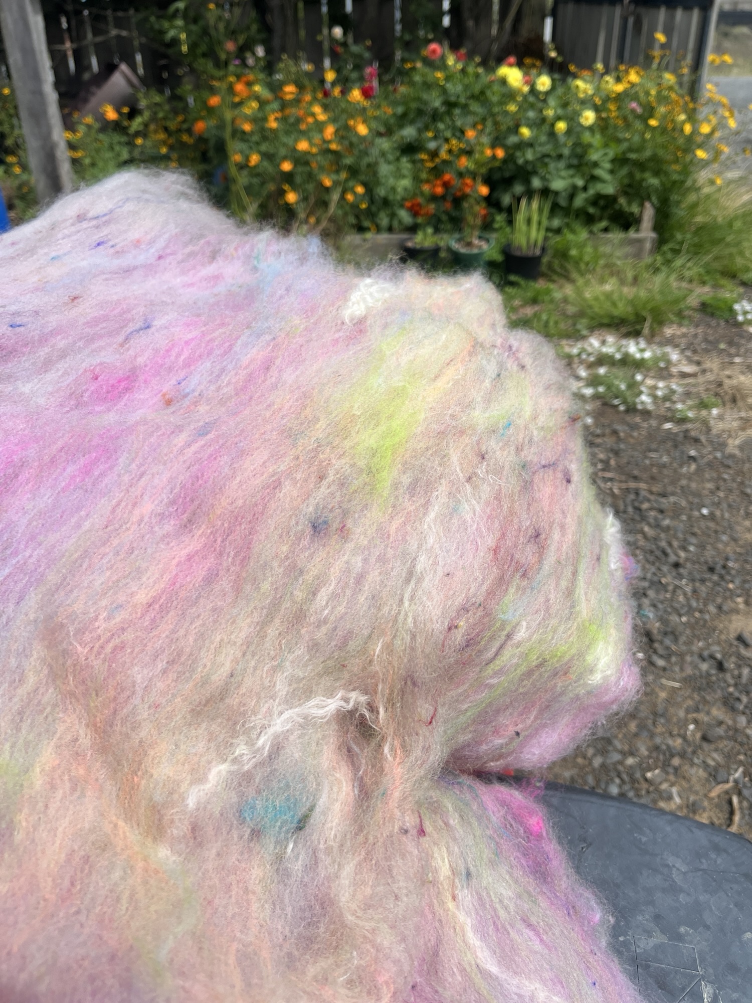 Handmade wool batt for spinning or felting: pastel dyed NZ wool blended with sari silk, mulberry silk and kid mohair, featuring yellow and white accents, curled into a spiral on a natural wood background.