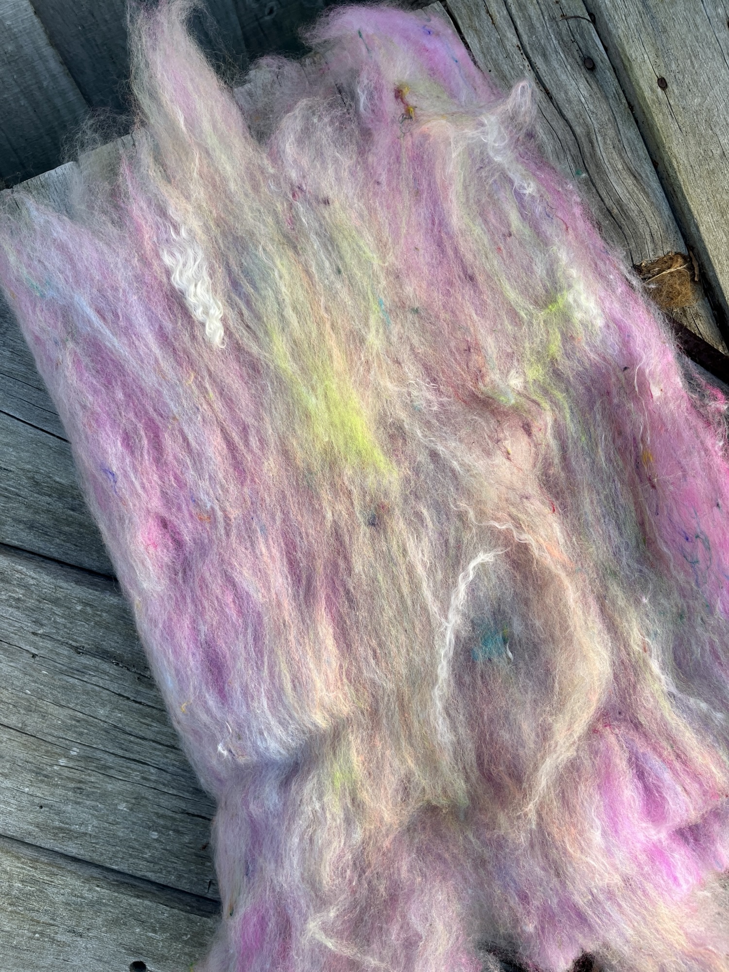 Handmade wool batt for spinning or felting: pastel dyed NZ wool blended with sari silk, mulberry silk and kid mohair, featuring yellow and white accents, curled into a spiral on a natural wood background.